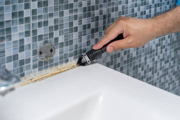 Best Industrial Mold Remediation in Shady Shores, TX