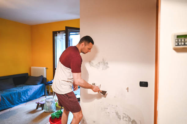 Best Crawl Space Mold Remediation in Shady Shores, TX